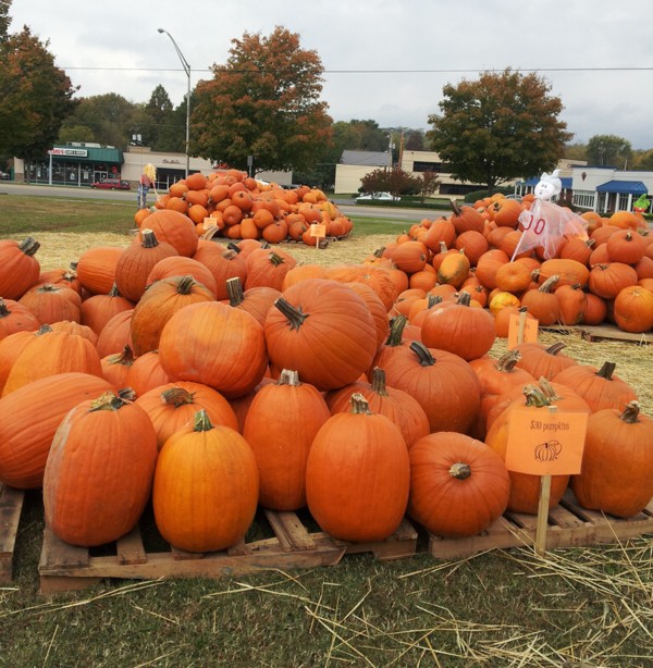 many large pumpkins