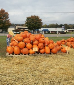 large pile of orange pumpkins