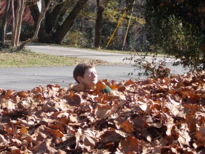 woman looking out from beneath a pile of leaves
