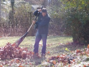 man raking leaves