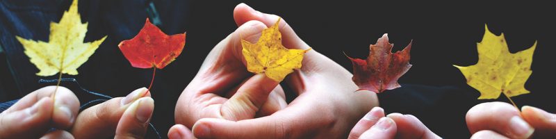 five hands holding yellow and orange fall leaves