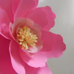 pink flower with yellow center