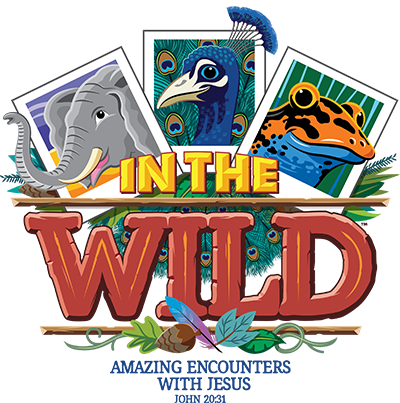 Into the Wild, Vacation Bible School logo. Three cards display an elephant, a peacock, and a frog.