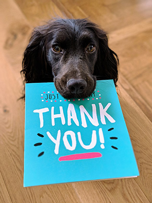 Black dog holding a thank you card in his mouth.