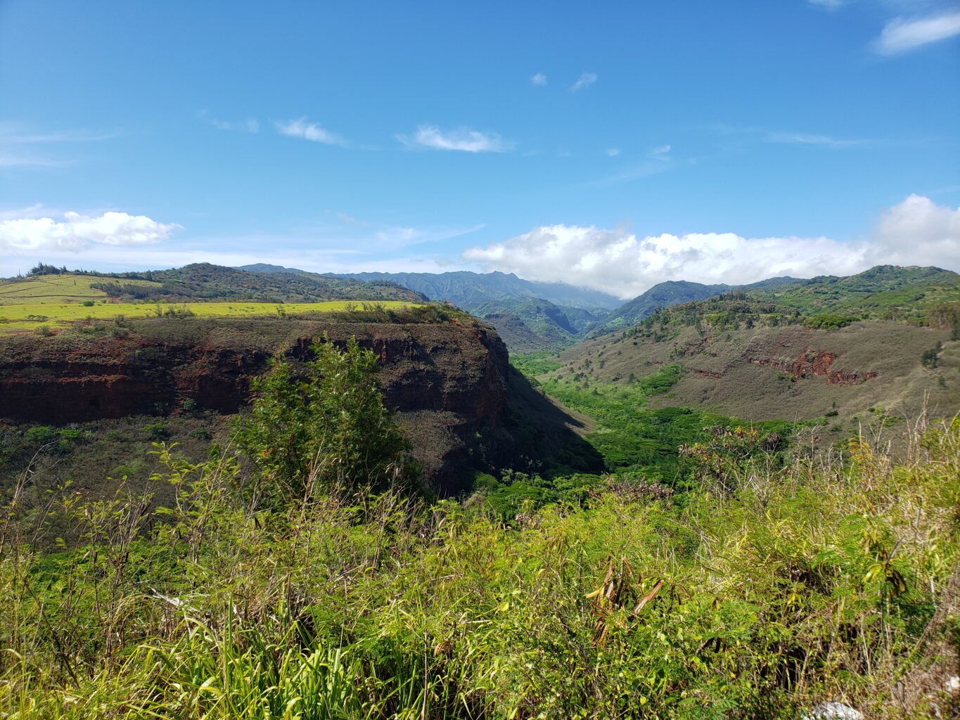 a canyon with lush greenery and a wide blue sky