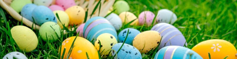 Happy Easter. Basket with Easter eggs in grass on a sunny spring day - Easter decoration, banner, panorama, background with copy space for text